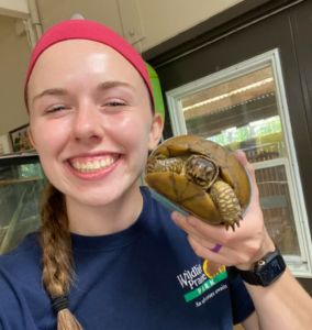 World Turtle Day® – By American Tortoise Rescue®