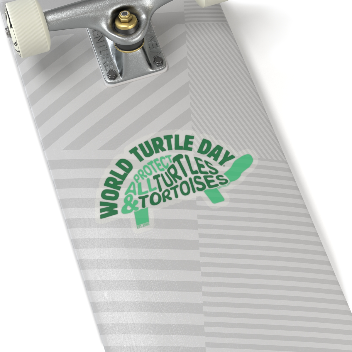 Protect All Turtles and Tortoises Sticker - Image 17