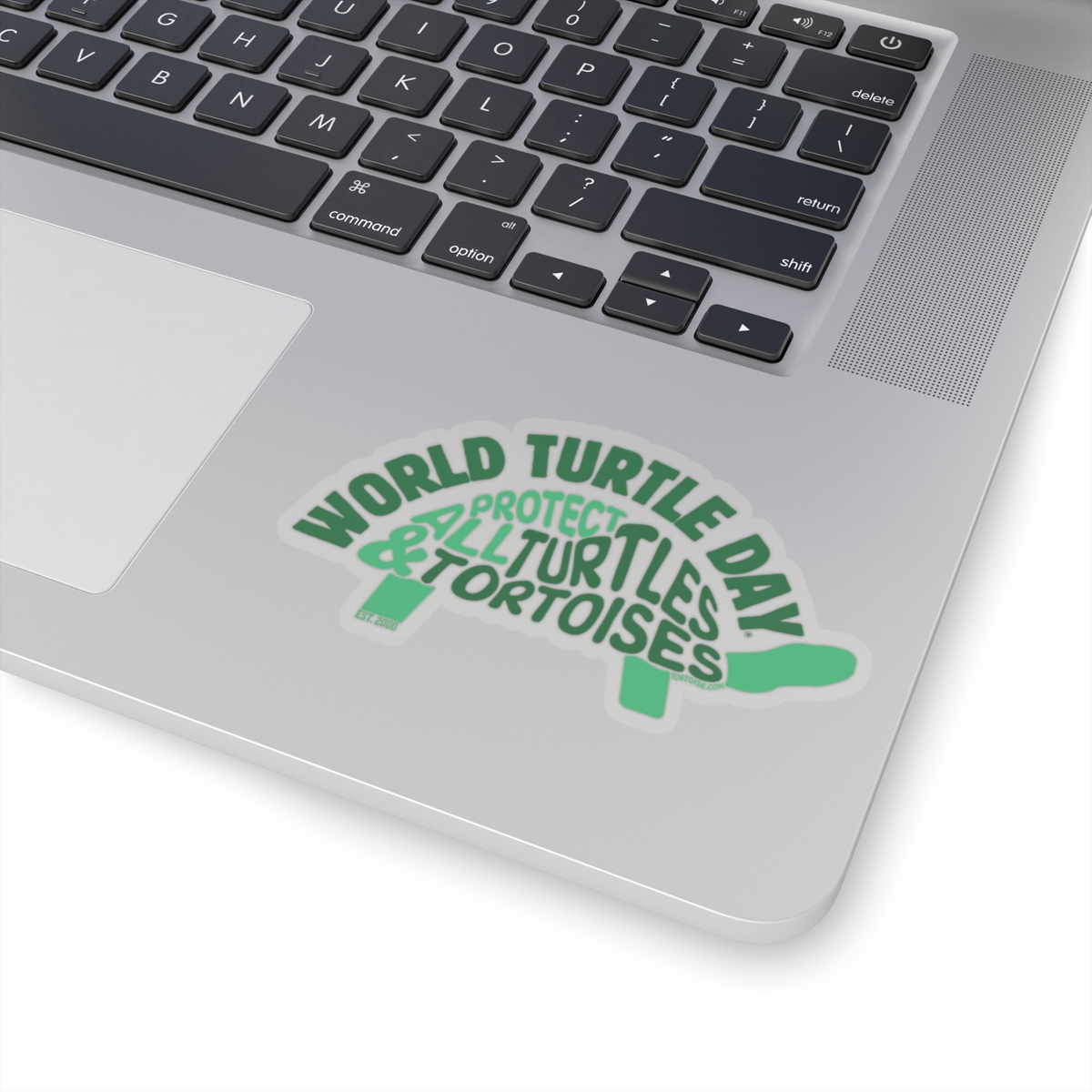 Protect All Turtles and Tortoises Sticker - Image 14