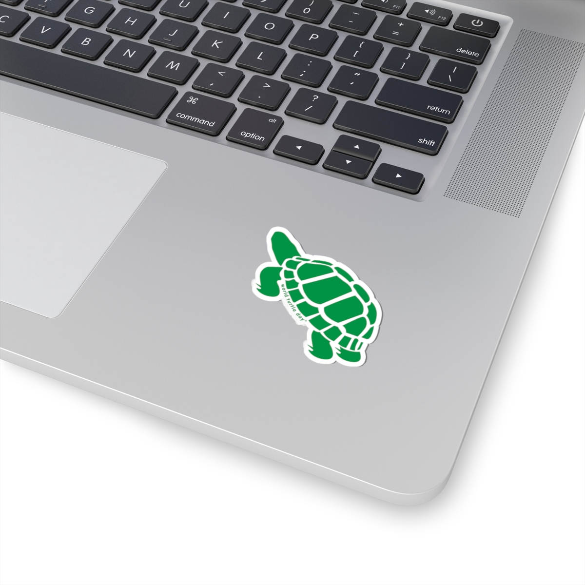 Box Turtle Sticker - Image 6