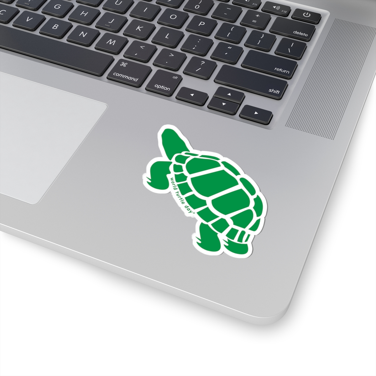 Box Turtle Sticker - Image 2