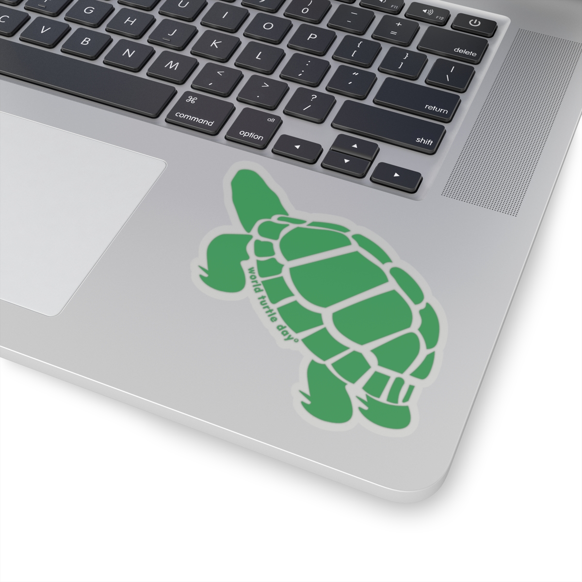 Box Turtle Sticker - Image 8