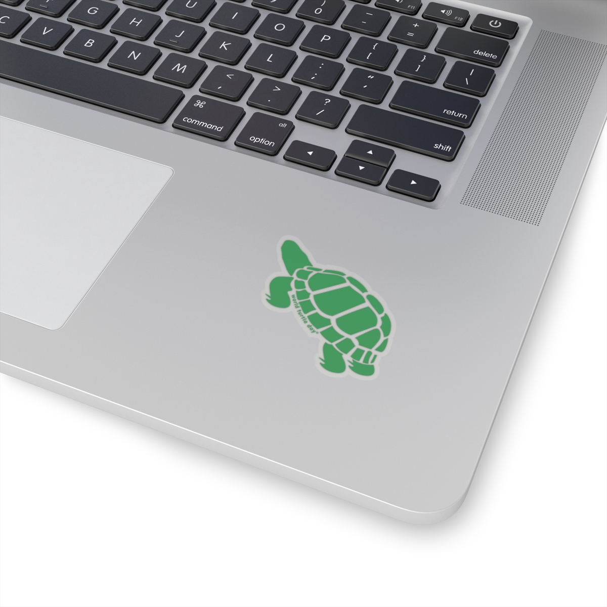 Box Turtle Sticker - Image 4