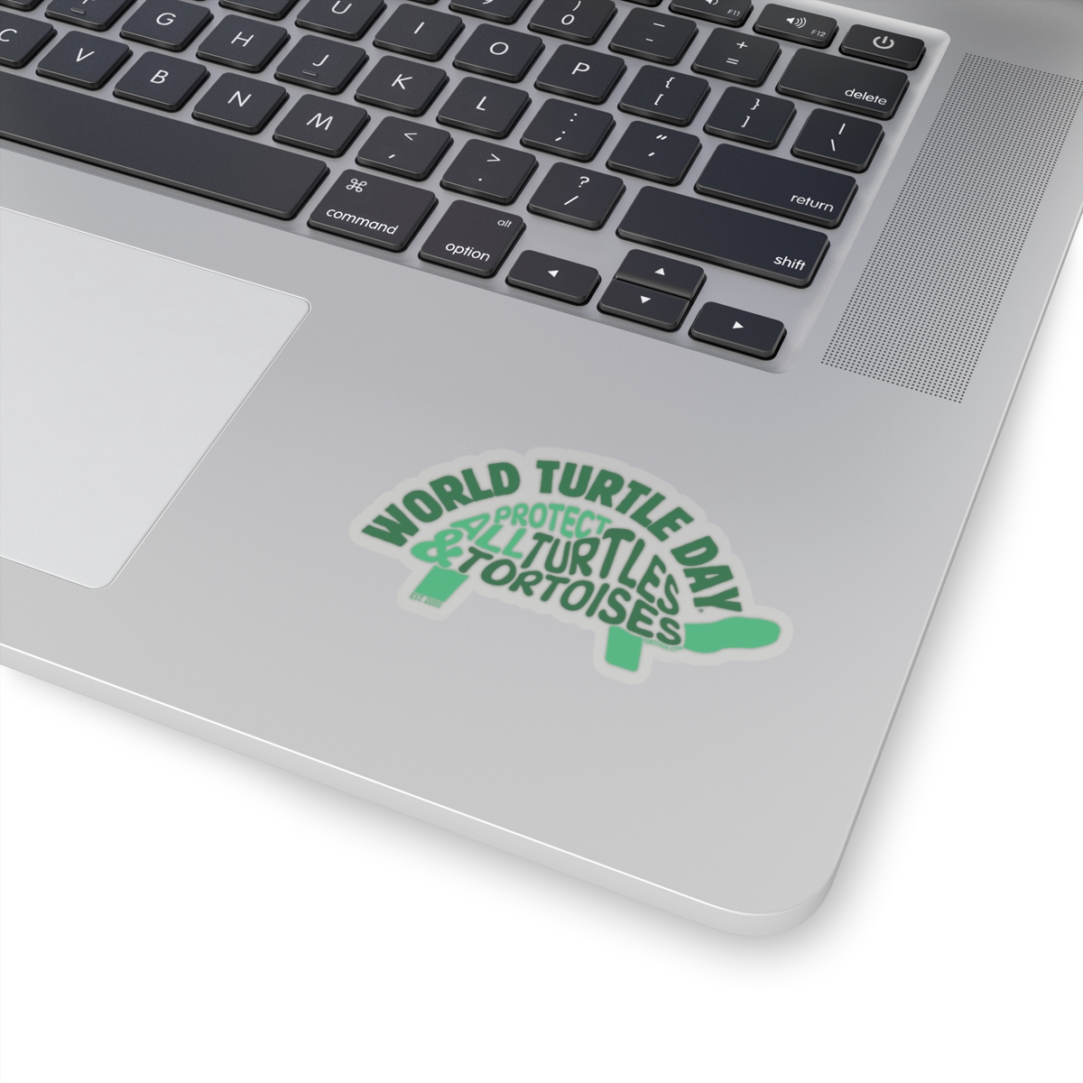 Protect All Turtles and Tortoises Sticker - Image 8