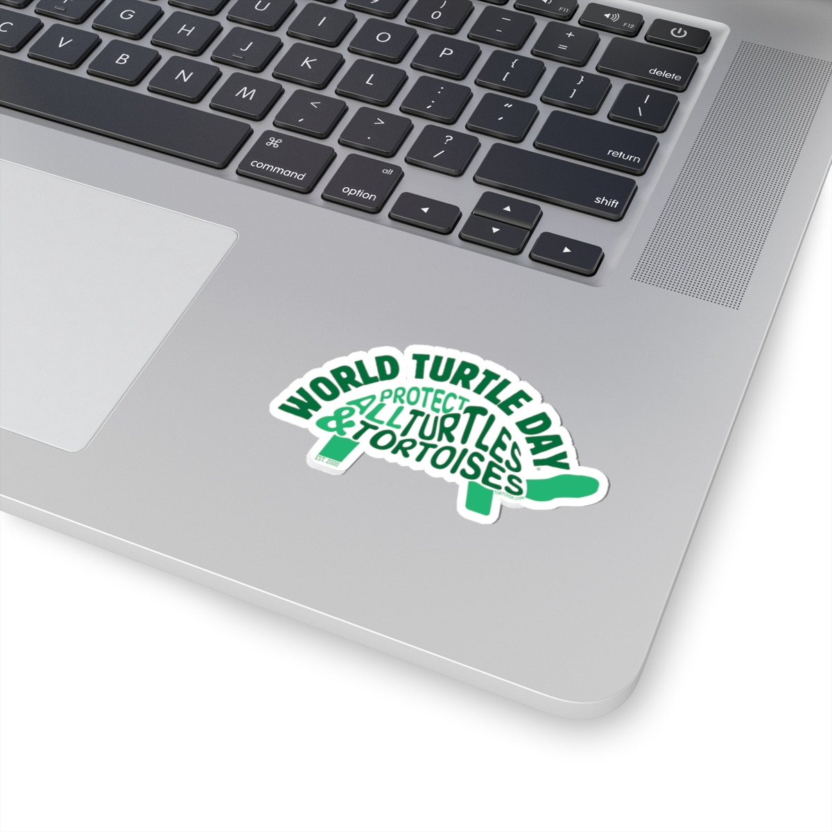 Protect All Turtles and Tortoises Sticker - Image 11