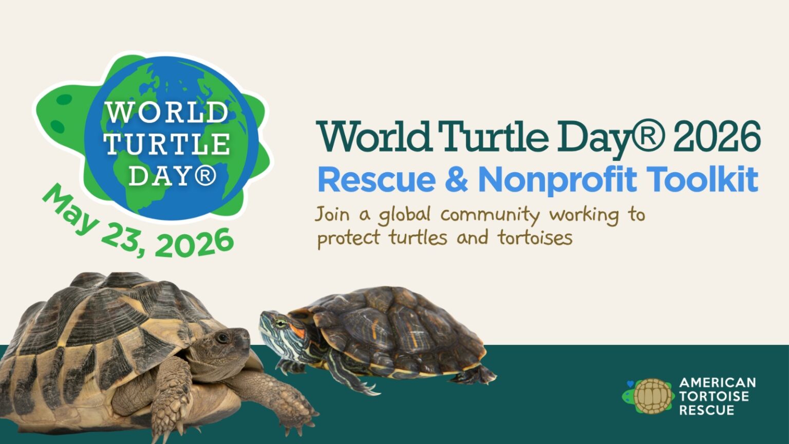 Protesting Turtles Rescues & Rehabilitates – World Turtle Day®